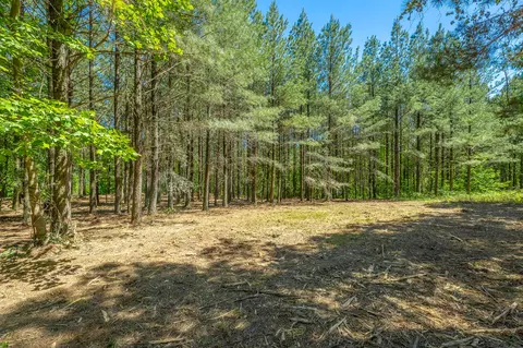 0 Split Rail Way #1349, Guild, TN 37340 photo 15