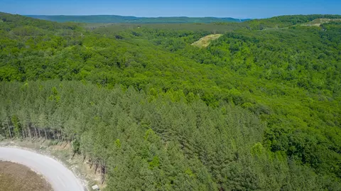0 Split Rail Way #1349, Guild, TN 37340 photo 46