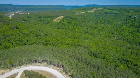 0 Split Rail Way #1349, Guild, TN 37340 photo 59