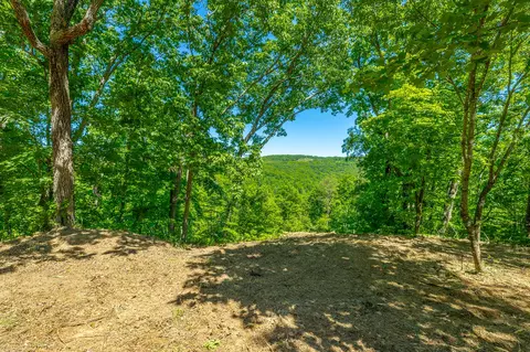 0 Split Rail Way #1349, Guild, TN 37340 photo 2