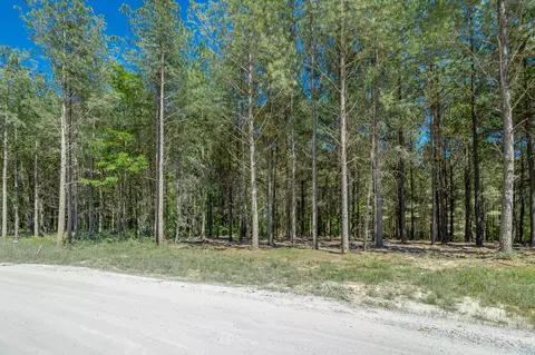 0 Split Rail Way #1349, Guild, TN 37340 photo 21