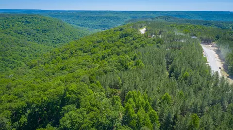 0 Split Rail Way #1349, Guild, TN 37340 photo 54