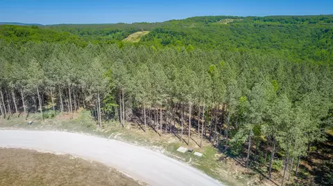 0 Split Rail Way #1349, Guild, TN 37340 photo 36