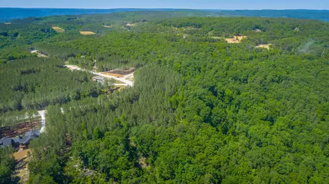 0 Split Rail Way #1349, Guild, TN 37340 photo 63