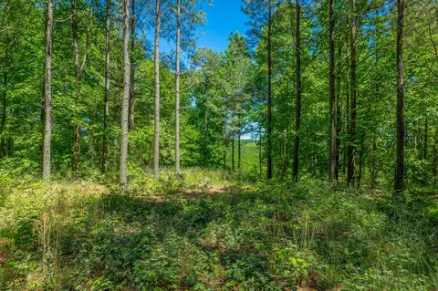 0 Split Rail Way #1349, Guild, TN 37340 photo 9