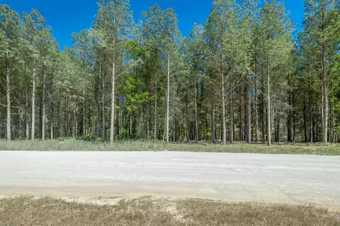 0 Split Rail Way #1349, Guild, TN 37340 photo 18