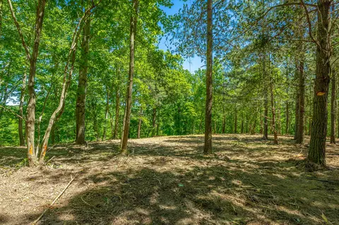 0 Split Rail Way #1349, Guild, TN 37340 photo 13