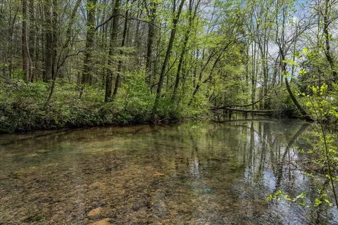 360 Dixon Cove Rd, Sequatchie, TN 37374 photo 36