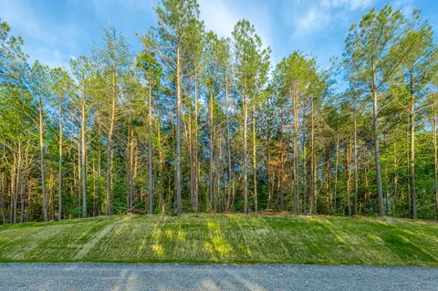 0 Cannon Way #LOT 1317, Guild, TN 37340