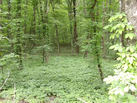 0 Ridge Rd W, Pikeville, TN 37367