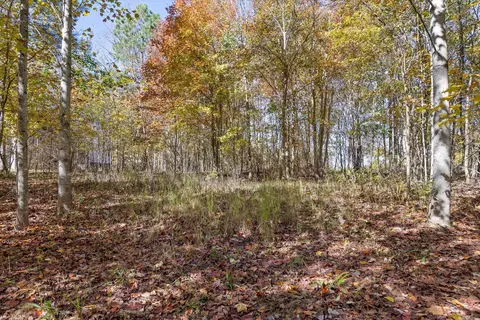 0 Crockett, Jasper, TN 37347 photo 9