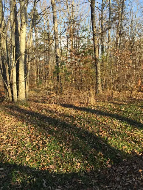 0 Clear Brooks Dr #38, Signal Mountain, TN 37377