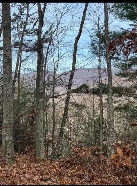 288 Frost Bottom Rd, Oliver Springs, TN 37840