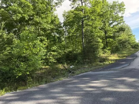 196 Big Bluff Vw, Pikeville, TN 37367