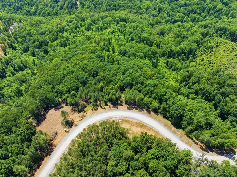 0 Split Rail Way #1180, Guild, TN 37340 photo 8