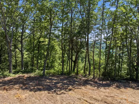 0 Split Rail Way #1180, Guild, TN 37340 photo 9