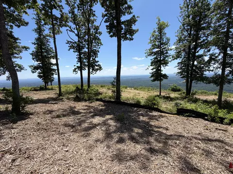 1286 Ransom Point Rd #SIGNAL, Mountain, TN 37377