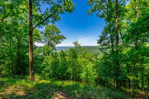 0 Volunteer St # 362, Jasper, TN 37347