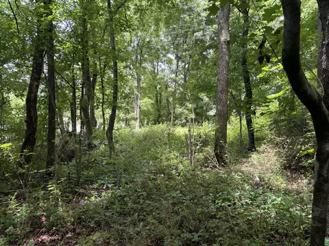 0 Bellfounte Rd NE, Cleveland, TN 37312