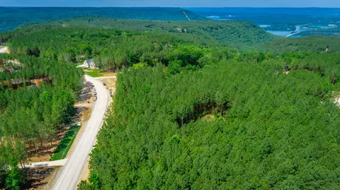 0 Split Rail Way #LOT 1163, Guild, TN 37340 photo 39