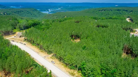0 Split Rail Way #LOT 1163, Guild, TN 37340 photo 40