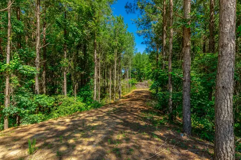 0 Split Rail Way #LOT 1163, Guild, TN 37340 photo 3