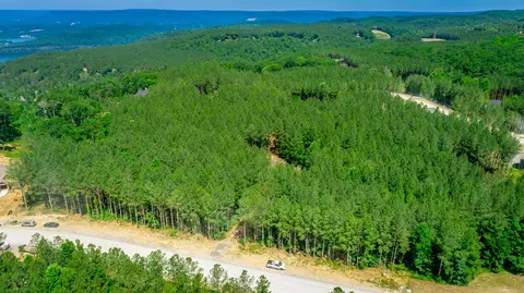 0 Split Rail Way #LOT 1163, Guild, TN 37340 photo 41