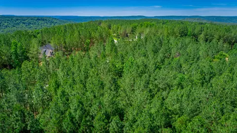 0 Split Rail Way #LOT 1163, Guild, TN 37340 photo 67