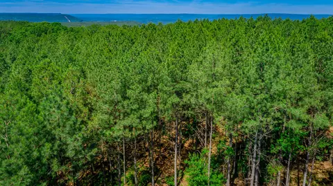 0 Split Rail Way #LOT 1163, Guild, TN 37340 photo 72