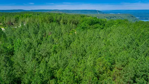 0 Split Rail Way #LOT 1163, Guild, TN 37340 photo 66
