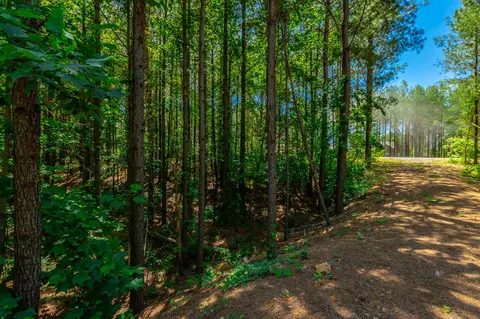 0 Split Rail Way #LOT 1163, Guild, TN 37340 photo 14