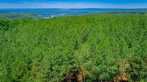 0 Split Rail Way #LOT 1163, Guild, TN 37340 photo 64