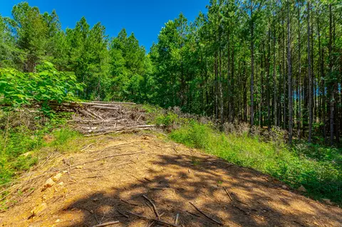 0 Split Rail Way #LOT 1163, Guild, TN 37340 photo 9