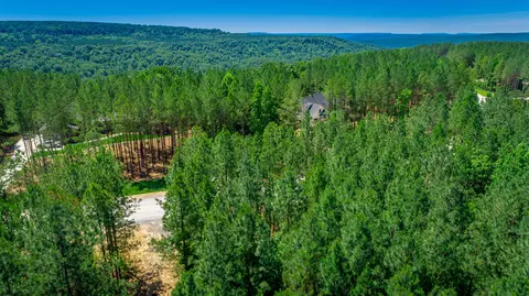 0 Split Rail Way #LOT 1163, Guild, TN 37340 photo 68