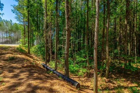 0 Split Rail Way #LOT 1163, Guild, TN 37340 photo 13