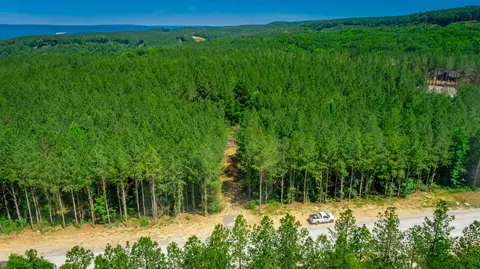 0 Split Rail Way #LOT 1163, Guild, TN 37340 photo 52