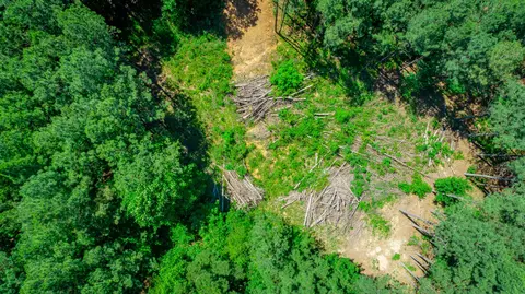 0 Split Rail Way #LOT 1163, Guild, TN 37340 photo 73