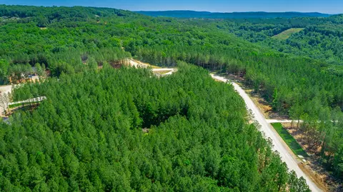 0 Split Rail Way #LOT 1163, Guild, TN 37340 photo 44