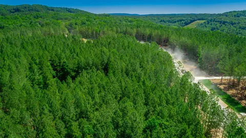 0 Split Rail Way #LOT 1163, Guild, TN 37340 photo 54