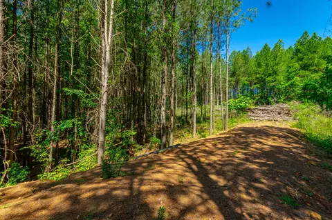 0 Split Rail Way #LOT 1163, Guild, TN 37340 photo 5