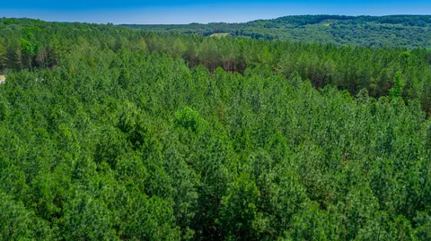 0 Split Rail Way #LOT 1163, Guild, TN 37340 photo 71