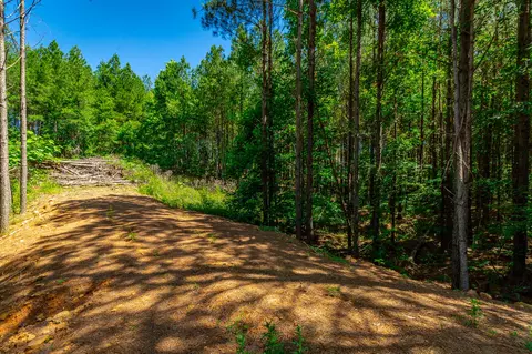 0 Split Rail Way #LOT 1163, Guild, TN 37340 photo 7
