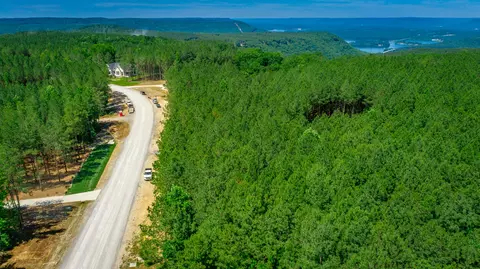 0 Split Rail Way #LOT 1163, Guild, TN 37340 photo 48