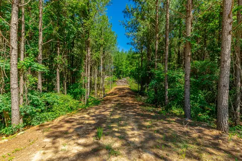 0 Split Rail Way #LOT 1163, Guild, TN 37340 photo 2
