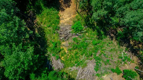 0 Split Rail Way #LOT 1163, Guild, TN 37340 photo 75