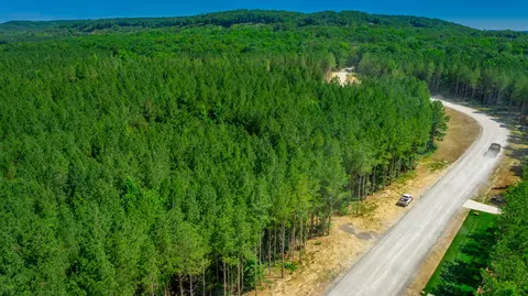 0 Split Rail Way #LOT 1163, Guild, TN 37340 photo 53