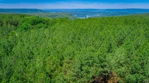 0 Split Rail Way #LOT 1163, Guild, TN 37340 photo 65