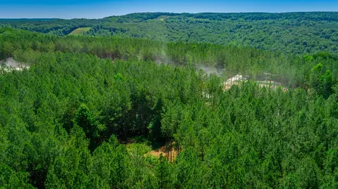 0 Split Rail Way #LOT 1163, Guild, TN 37340 photo 55