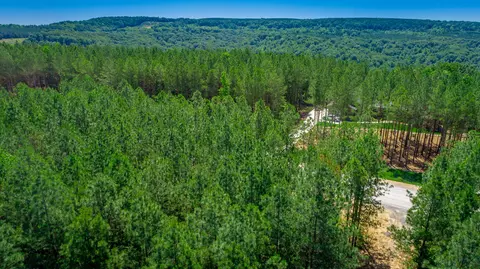 0 Split Rail Way #LOT 1163, Guild, TN 37340 photo 70