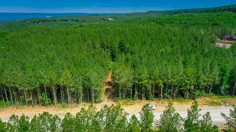 0 Split Rail Way #LOT 1163, Guild, TN 37340 photo 51